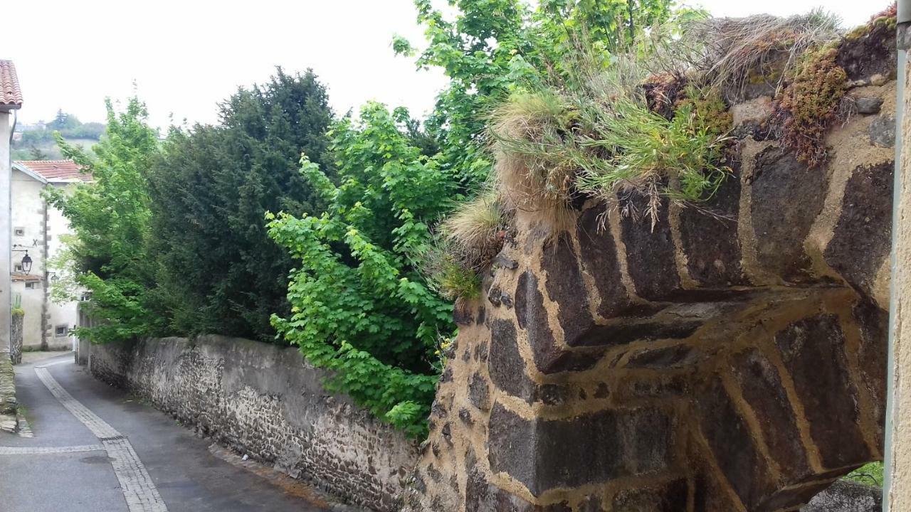 Appartement Le Petit Dyke à Le Puy-en-Velay Extérieur photo